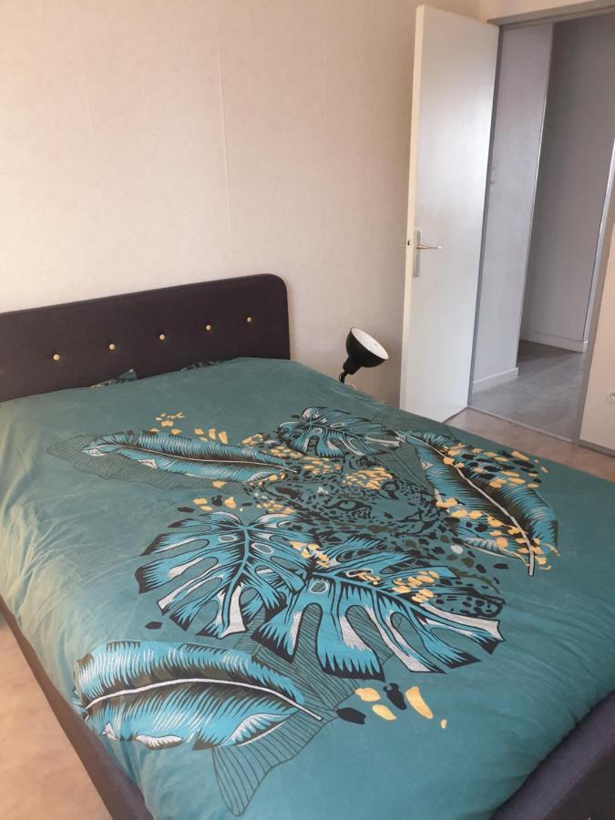 Mulhouse,Grand Appart Cosy&Lumineux, 78M2 , Pour 5 Personnes Exterior foto